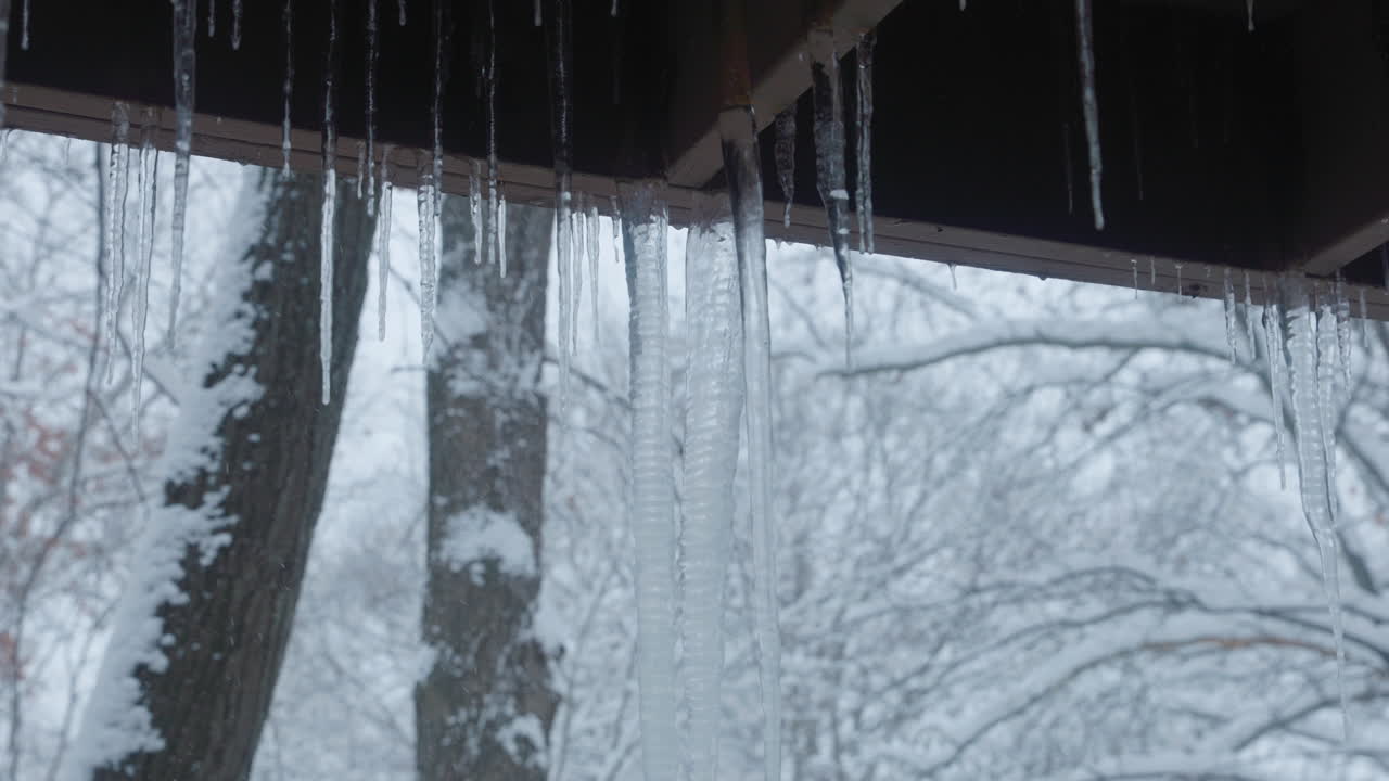 눈 인 숲의 뒷부분으로 얼음 의 손잡이
