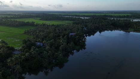 aerial view of kerala backwaters with lush green fields and coconut trees