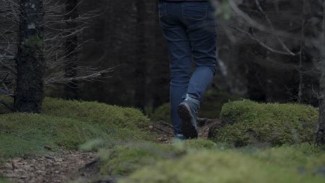 tourist on a trail in icelandic forest