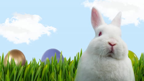 animación del conejo de pascua con huevos de pascua y hierba sobre el cielo azul