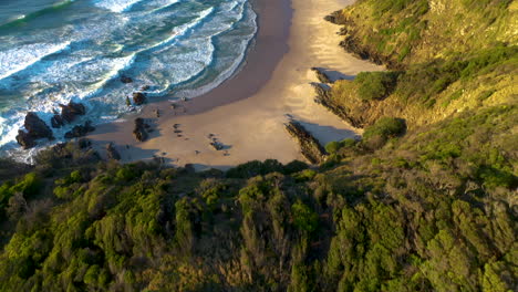 amazing drone shot staring on forest then revealing broken head beach near byron bay