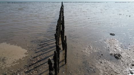 row of posts stick out of mud on river blackwater essex uk view from drone