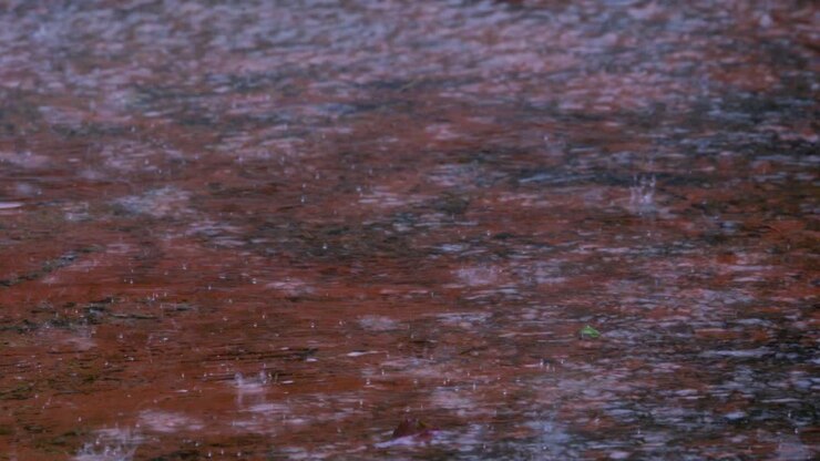 Raindrops on the ground full of water