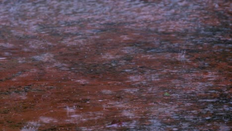 Regentropfen-Auf-Dem-Boden-Voller-Wasser