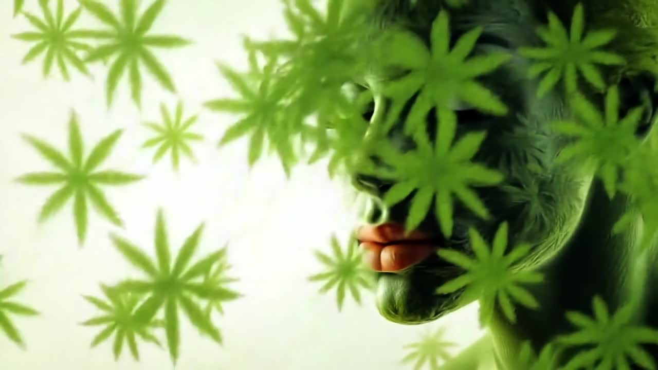 Cannabis leaf silhouette art. A unique art piece featuring a green silhouette with cannabis leaves overlaying the face for a striking effect.