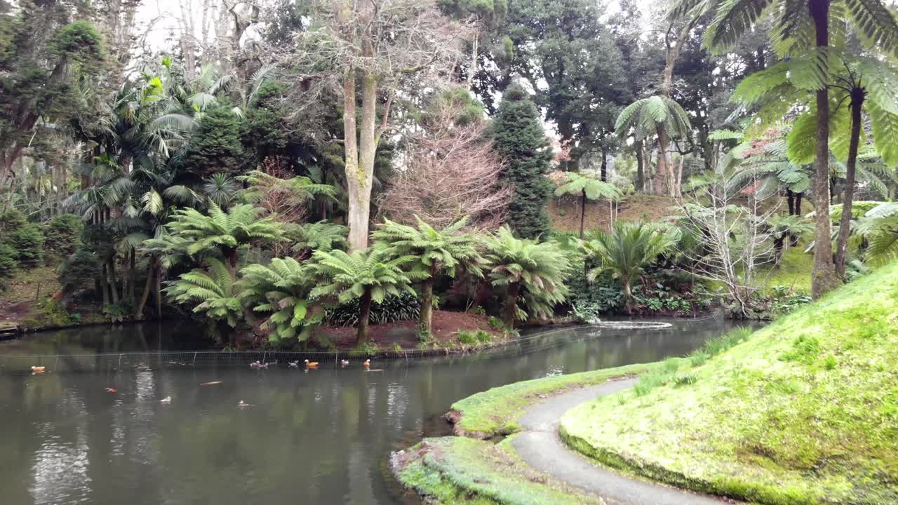 상 미구엘 섬, 아조레스 제도, 포르투갈의 푸르나스 계곡에 있는 테라 노스트라 공원에서 수영하는 오리가 있는 연못 - 오름차순 공중 촬영