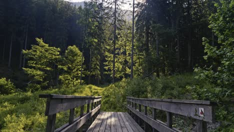 an old wooden bridge in a mountain valley