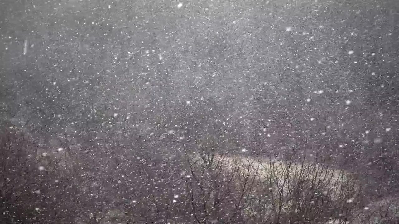 Blizzard in the winter. Slow motion.
