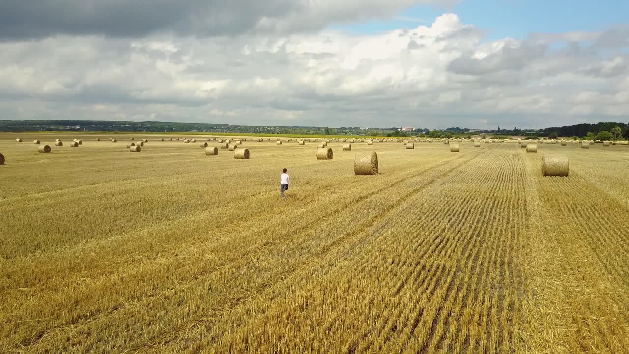 Little Boy In Field. Beautiful boy walking in a field with straw