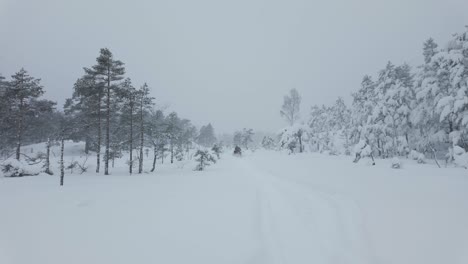 Un-Hombre-Navegando-En-Una-Moto-De-Nieve-En-Un-Terreno-Invernal---Plano-General