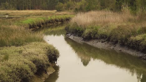 lecho de río fangoso de 4k en marea baja con un poco de agua que fluye río abajo hacia el océano