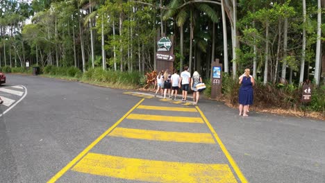 people walking from parking lot to park entrance