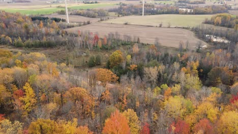 Colores-De-Otoño-En-Mid-Michigan