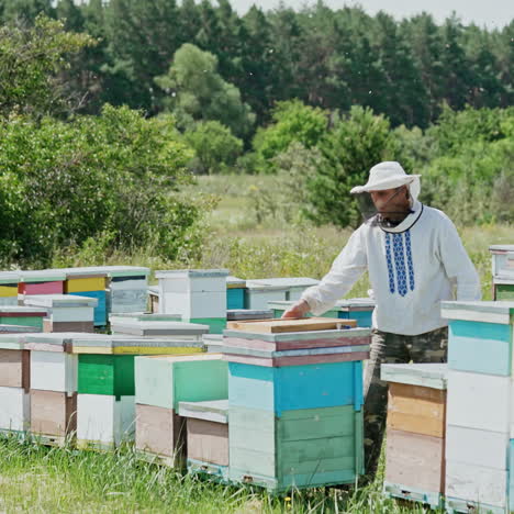 beekeeper is working with bees and beehives on the apiary. frames of a bee hive