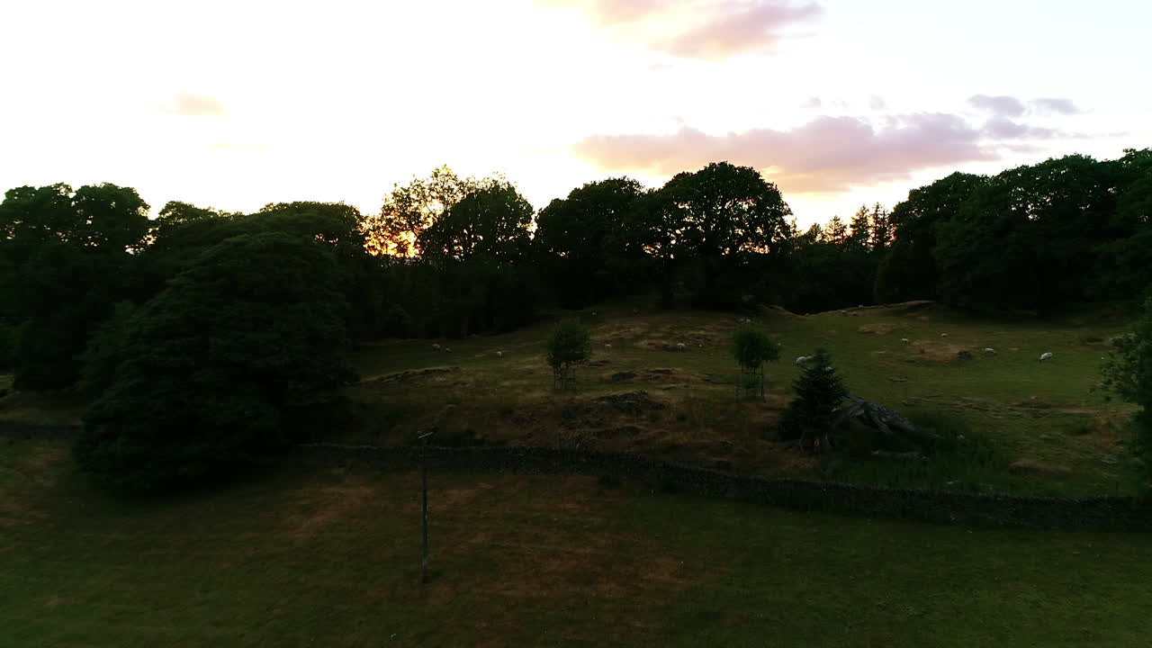 Dronebilde av sauer på bølgende grønne åser, landsbyen og Lake Windermere ved solnedgang, Lake District, Storbritannia.