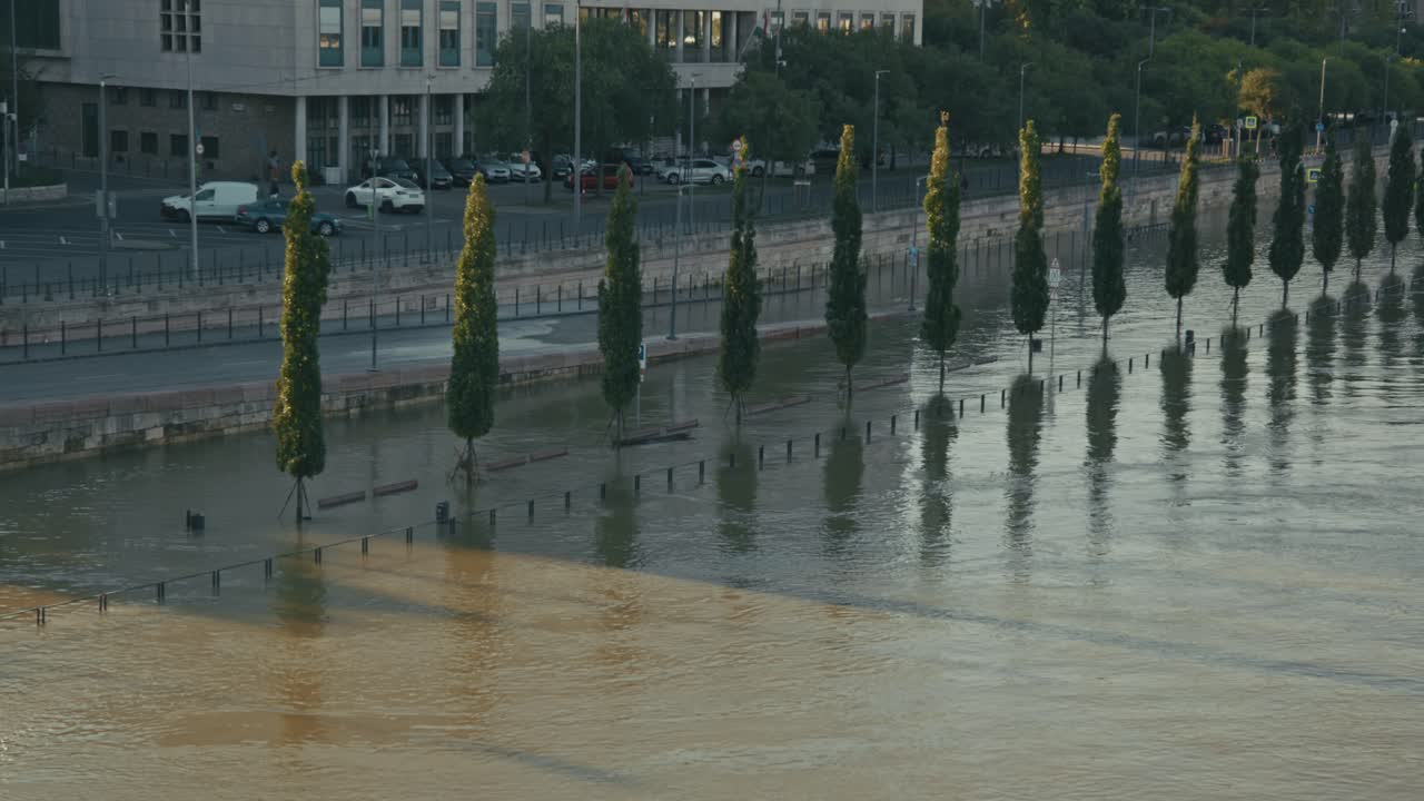 Rows of trees submerged in water beside the Danube during the Budapest Flood 2024.