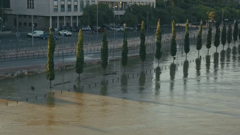 rows of trees submerged in water beside the danube during the budapest flood 2024.