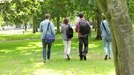 students walking on the grass