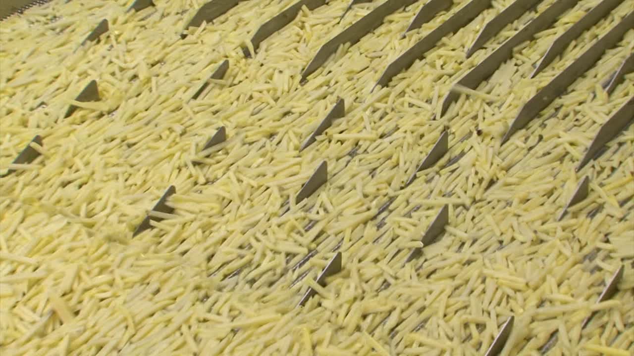 primer plano de papas fritas transportadas en una línea transportadora en una fábrica de alimentos