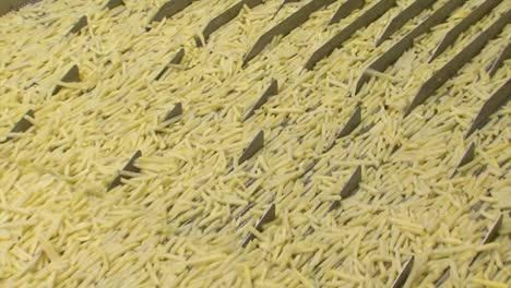 close up of french fries being transported on a conveyor line in a food factory