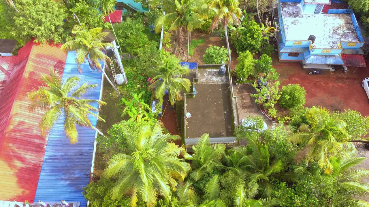 Top-down aerial view of a densely vegetated tropical residential area with colorful houses, coconut palms, and a car parked in a narrow, rural lane in Kerala, India