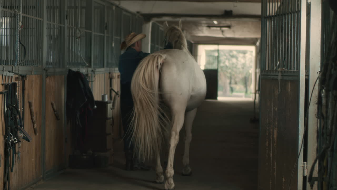 Cowboy grooming a horse in a stable