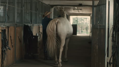 cowboy grooming a horse in a stable