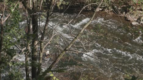 High-view-of-the-Wissahickon-Creek,-Philadelphia