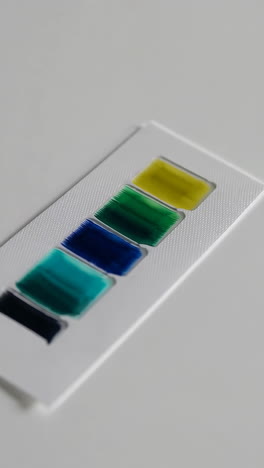 muestras de color