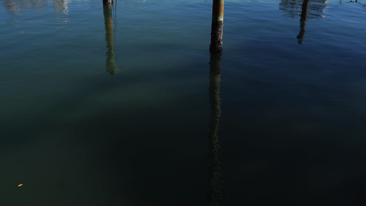 The reflection on the water of the stilts standing in it, with their images mirrored on the surface