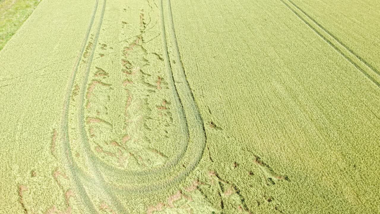 Tractor tramline patterns in green grain fields farmland AERIAL