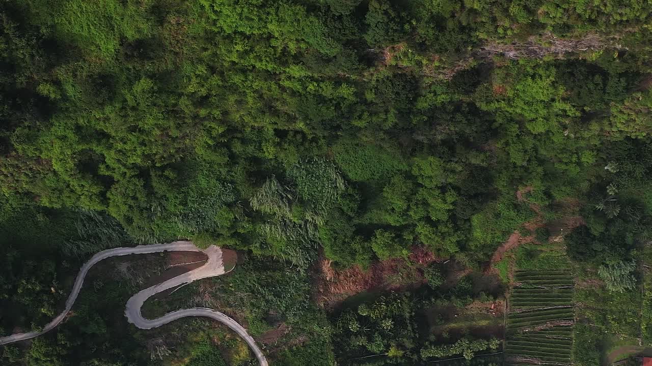 Spectacular aerial view of lush greenery in Madeira, Portugal