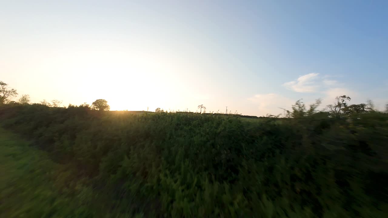 FPV cinematic drone aerial low flight over golden crops ready for harvest and livestock farmland at golden hour in Rutland England United Kingdom