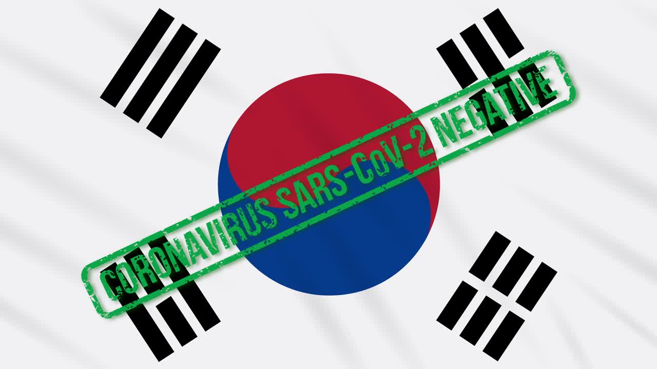 코로나 바이러스로부터의 자유의 녹색 스프를 가진 한국 발을 흔들고, 루프