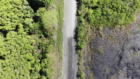 vista de pájaro de la vieja jungla y el flujo de lava más fresco con la carretera en el medio