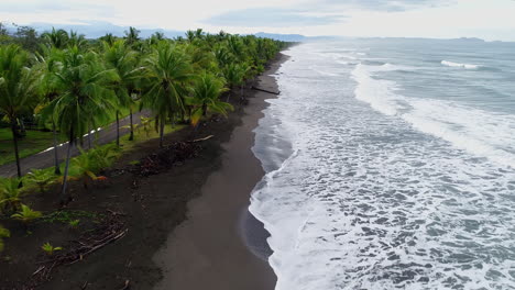 Aerial-as-man-runs-down-beautiful-palm-tree-lined-beach-in-paradise,-4K