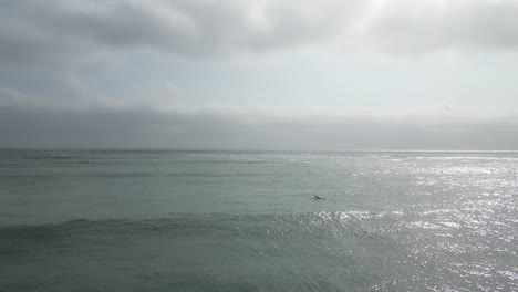 Aerial-dolly-forward-shot-of-a-sea-with-calm-waves-and-surfers-swimming-on-surfboards-while-the-sun-reflects-on-the-water