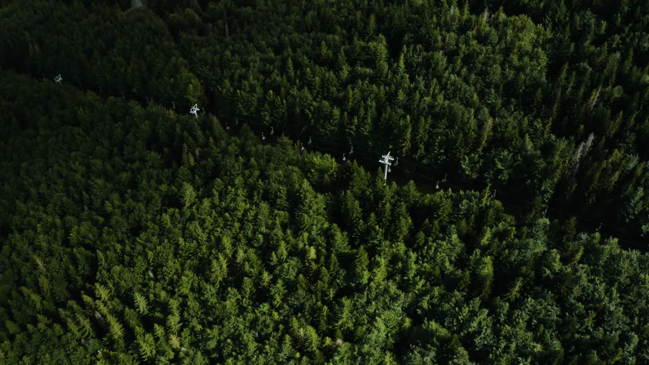 녹색 침엽수 사이에서 관광객을 위한 작동하는 케이블카의 드론 탑다운 샷