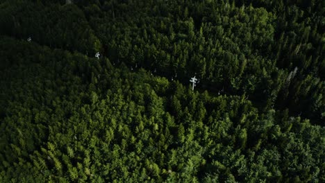 Toma-De-Arriba-Hacia-Abajo-De-Un-Teleférico-En-Funcionamiento-Para-Turistas-Entre-Coníferas-Verdes