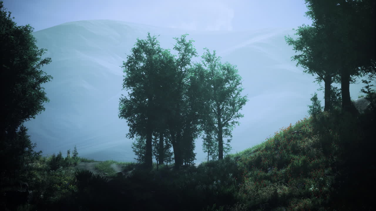 Misty morning in tranquil forest with silhouettes of trees against mountains