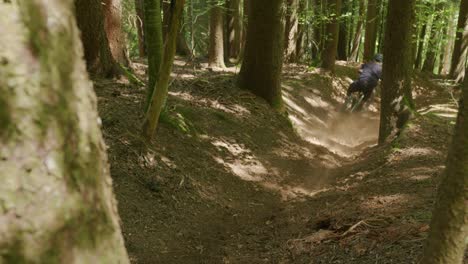 mountain biker smashes through a stump a fast speed in a gully