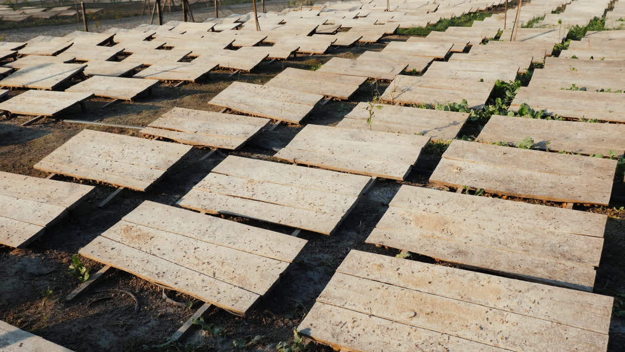 태양과 열로부터 보호하기 위해 나무 캐노피가 있는 달팽이 농장 3