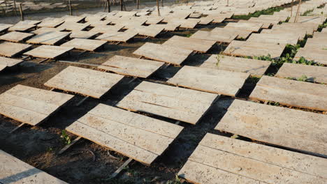 Snail-farm-with-wooden-canopies-to-protect-against-the-sun-and-heat-3