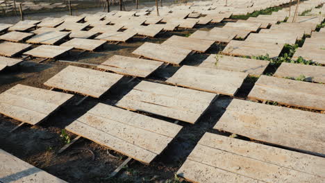 granja de caracoles con marquesinas de madera para protegerse del sol y el calor 3