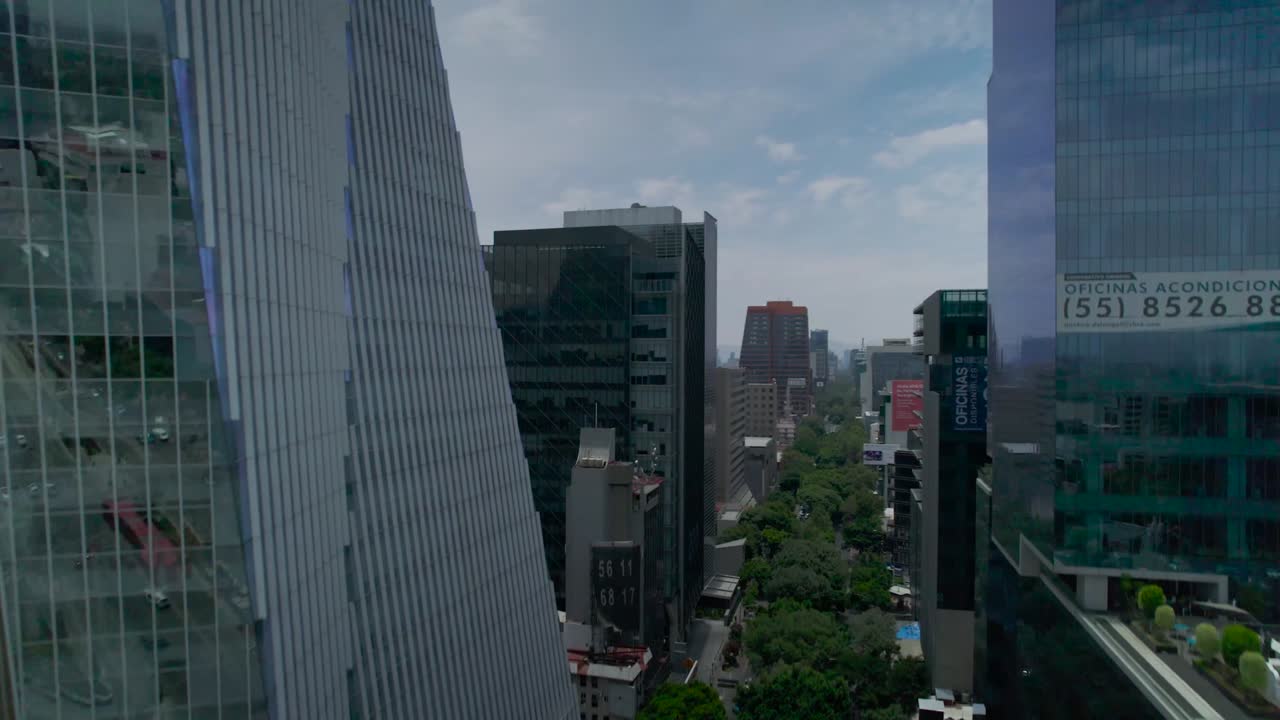 avenida en la ciudad de méxico