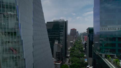 avenue in mexico city