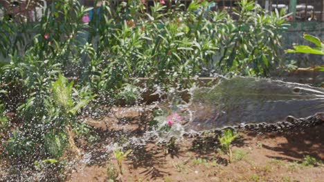 Close-Up-Of-Person-Watering-Plants-in-Garden-With-Hose-In-Mumbai-India