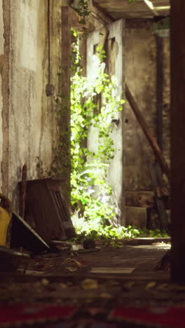 pasillo cubierto de vegetación en una casa abandonada