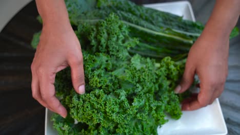 Woman-showing-and-displaying-dinosaur-Kale-for-a-salad