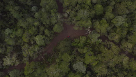 Trekking-Dentro-De-Un-Bosque-Lluvioso,-Caminar-Hasta-La-Cumbre-Del-Volcán-Osorno